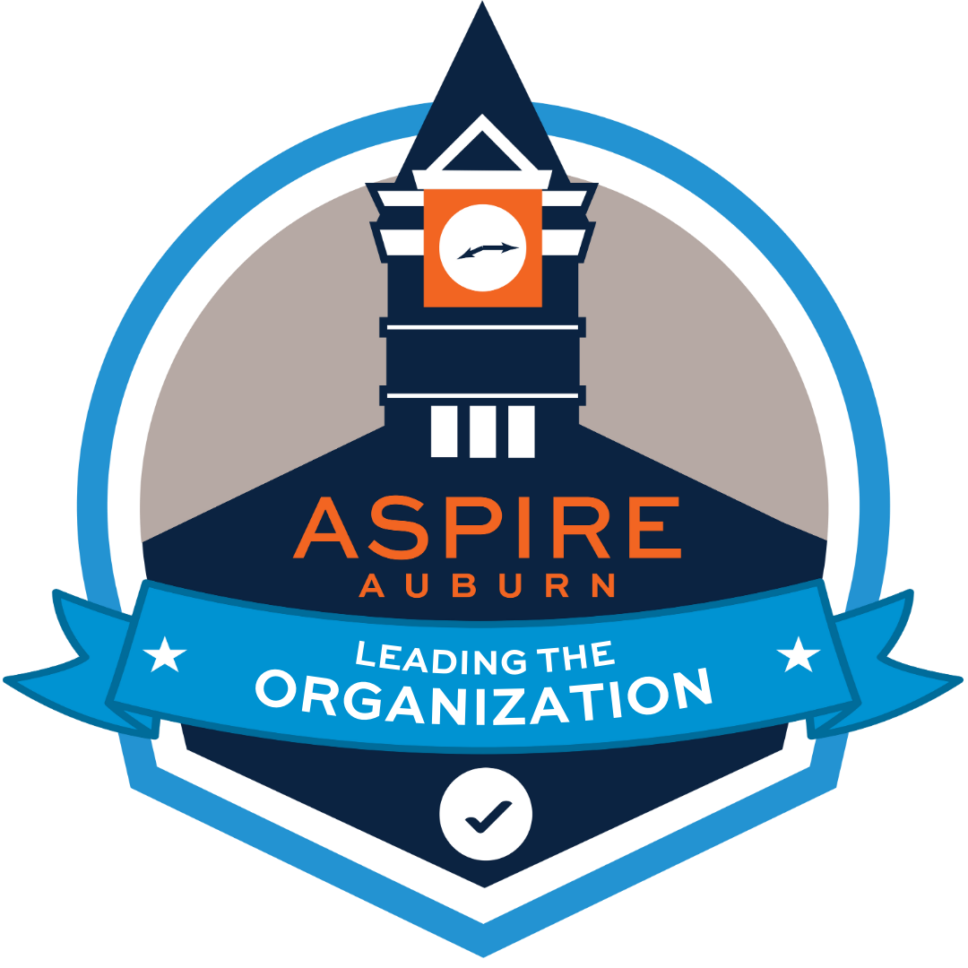Leading the Organization badge